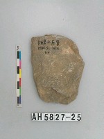 藏品(打製石斧)的圖片